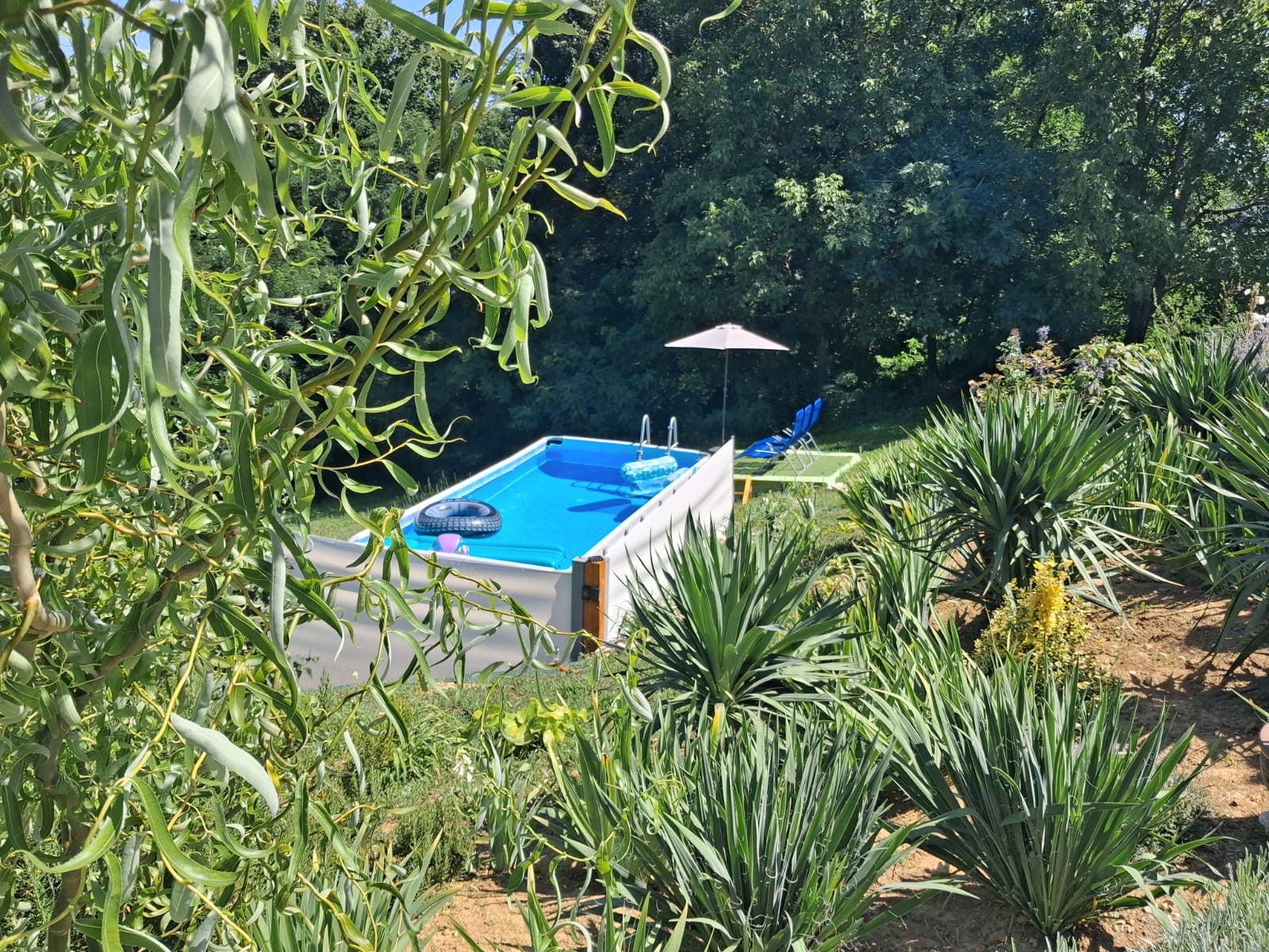 Pool zwischen Garten und Grünanlage
